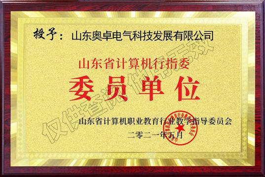 山東省計算機(jī)行指委委員單位