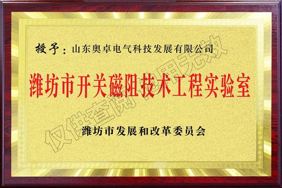 濰坊市開關(guān)磁阻技術(shù)工程實驗室
