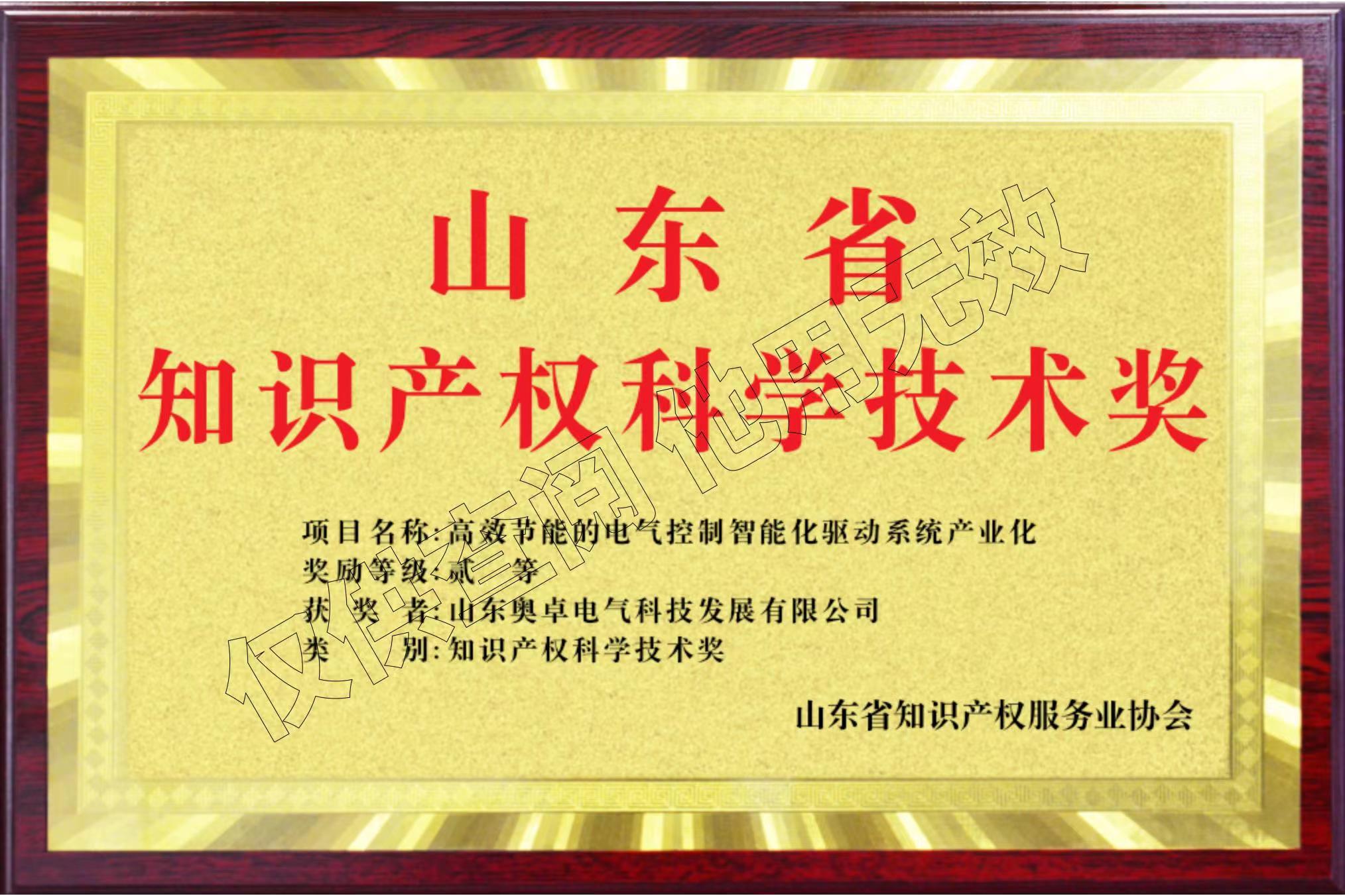 山東省知識產(chǎn)權(quán)科學(xué)技術(shù)獎